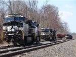 NS 4184